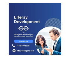 Collaborate with the Best Liferay Development Company | free-classifieds-usa.com - 1
