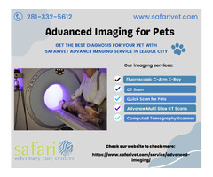 Get The Best Diagnosis For Your Pet With SafariVet Advance Imaging Service in League City | free-classifieds-usa.com - 1