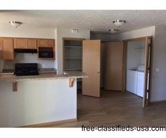 1 Bedroom-New Complex Now Leasing for January! | free-classifieds-usa.com - 1