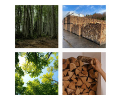 logging contractors | free-classifieds-usa.com - 1