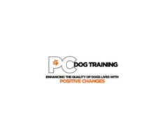 Puppy Training Las Vegas | Puppy School Henderson, NV — Positive Changes Dog Training | free-classifieds-usa.com - 1