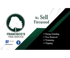 Francisco tree Services | free-classifieds-usa.com - 2