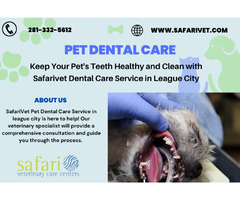 Keep Your Pet's Teeth Healthy and Clean with Safarivet Dental Care Service in League City | free-classifieds-usa.com - 1