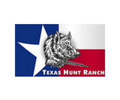 Finding Best And Affordable Texas Deer Hunts? Contact Us!   | free-classifieds-usa.com - 1