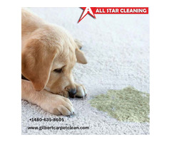 Best Quality Pet Stain Carpet Cleaning Services in Gilbert,USA | free-classifieds-usa.com - 1