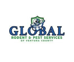 Rodent Removal in Bakersfield CA - Global Rodent & Pest Services | free-classifieds-usa.com - 1