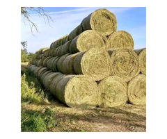 Excellent quality for your house and cows | free-classifieds-usa.com - 3