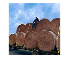 Excellent quality for your house and cows | free-classifieds-usa.com - 4