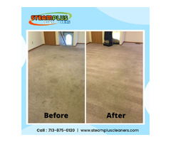 Professional Carpet Cleaning Service in Sugar Land TX | free-classifieds-usa.com - 1
