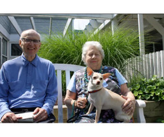 Discover Top Senior living community at My Living Choice | free-classifieds-usa.com - 1