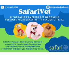 Get Affordable Pampered Pet Grooming Services from Safari Veterinary Care Center in League City, TX | free-classifieds-usa.com - 1