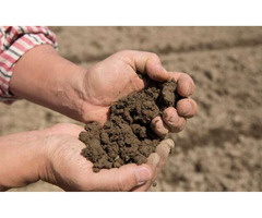 FIND TOP SOIL COMPANY IN FLORIDA | free-classifieds-usa.com - 1