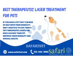 Best Therapeutic Laser Treatment For Pets from Safari Veterinary Care Center in League City, TX  | free-classifieds-usa.com - 1