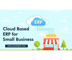 Flexible Cloud ERP Software Company That Helps Grow Your Business! | free-classifieds-usa.com - 1
