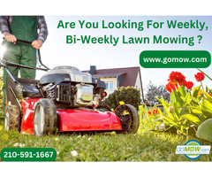 Are You Looking For Weekly, Bi-Weekly Lawn Mowing In San Antonio? | free-classifieds-usa.com - 1