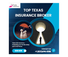 Top Texas Insurance Law Company | TX Life Insurance | free-classifieds-usa.com - 1