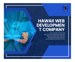 Hawaii web development company | NogaTech IT Solutions LLC  | free-classifieds-usa.com - 1