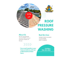 Roof Cleaning Services | Hire Professional Cleaners and Washers  | free-classifieds-usa.com - 1