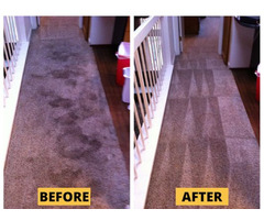Expert Carpet Cleaning in San Jose CA | free-classifieds-usa.com - 1