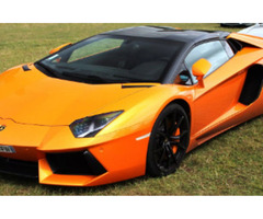  Lamborghini Houston Rental and Luxury Exotic Car Rental Company | free-classifieds-usa.com - 1