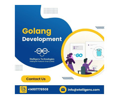 Choose a Golang Development Company That You Can Trust | free-classifieds-usa.com - 1