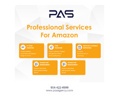 Exploring the Amazon Customer Journey | free-classifieds-usa.com - 4