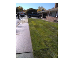 Get Trusted & Hassle-free Sod Installation Services Reno | free-classifieds-usa.com - 1