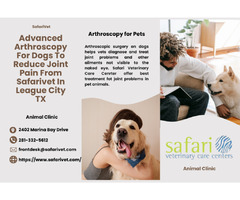 Advanced Arthroscopy For Dogs To Reduce Joint Pain From Safarivet In League City TX | free-classifieds-usa.com - 1