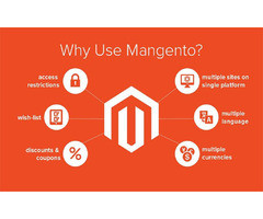 Benefits Of Magento Development Services | free-classifieds-usa.com - 1