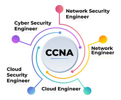 CCNA® - Cisco Certified Network Associate Training and Certification in Denver CO, United States | free-classifieds-usa.com - 1