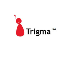 Custom Web Development Company | Trigma | free-classifieds-usa.com - 1