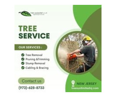 Tree Service NJ | free-classifieds-usa.com - 1