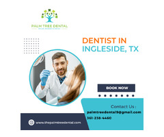 Dentist in ingleside tx - Palm Tree Dental | free-classifieds-usa.com - 1
