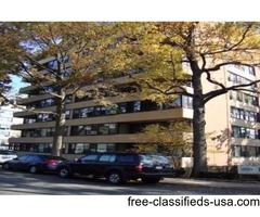 Very Spacious 1 Br In Lehavre (VIC) | free-classifieds-usa.com - 1