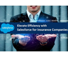 Elevate Efficiency with Salesforce for Insurance Companies | free-classifieds-usa.com - 1