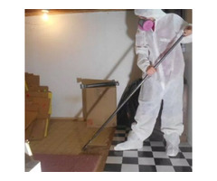 Asbestos Abatement Services in Orion Township MI - Environmental Affairs, LLC | free-classifieds-usa.com - 3