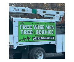Tree pruning in Pittsburgh PA | free-classifieds-usa.com - 1