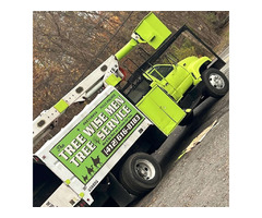 Tree pruning in Pittsburgh PA | free-classifieds-usa.com - 2