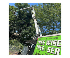 Tree pruning in Pittsburgh PA | free-classifieds-usa.com - 3