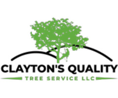 Stump Removal services Deltona - Clayton's Quality Tree Service LLC | free-classifieds-usa.com - 1