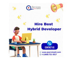 Choose Hire Hybrid Developer for your business project  | free-classifieds-usa.com - 1