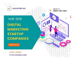 Digital Marketing Startup Companies- Overview | free-classifieds-usa.com - 1