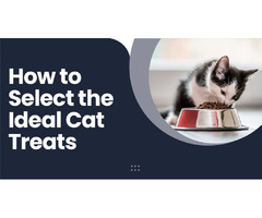 How to Select the Ideal Cat Treats | free-classifieds-usa.com - 1
