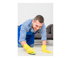 Why Regular Cleaning Services are Essential for a Healthy Home in Eugene | free-classifieds-usa.com - 2
