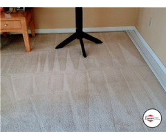 Rugs Cleaning near me | Lanior Carpet Cleaning, LLC | free-classifieds-usa.com - 3