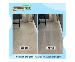 Maintain the Appearance of Your Carpet with Our Professional Cleaning Solutions | free-classifieds-usa.com - 1