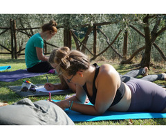 Yoga and wellness education programs | free-classifieds-usa.com - 2