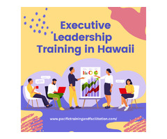 Executive coaching services from Hawaii | free-classifieds-usa.com - 1