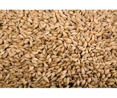 Eagle Asia, the most prominent USA grain supplier offers the best-quality comestibles | free-classifieds-usa.com - 1