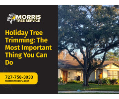 Holiday Tree Trimming: The Most Important Thing You Can Do | free-classifieds-usa.com - 1